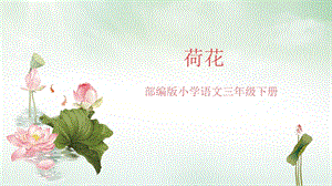 部編版小學語文三年級下冊《荷花》說課課件.pptx