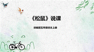 部編版小學語文五年級上冊松鼠說課課件.pptx