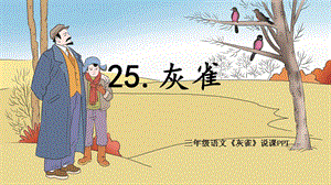 部編版小學語文三年級上冊《灰雀》精品說課課件.pptx