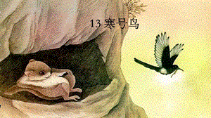 部編版小學語文二年級上冊《寒號鳥》說課PPT課件.pptx