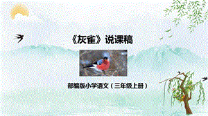 部編版小學語文三年級上冊灰雀說課課件.pptx
