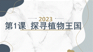 安徽大學版三上綜合實踐活動 第1課 探尋植物王國（課件）.pptx