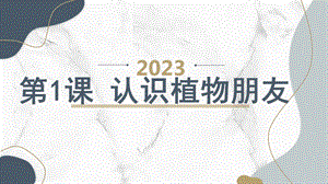 安徽大學版三上綜合實踐活動 第1課 認識植物朋友（課件）.pptx