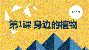 安徽大學版三上綜合實踐活動 第1課 身邊的植物（課件）.pptx