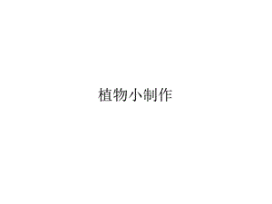 安徽大學版三上綜合實踐活動1.3《植物小制作 》課件.pptx