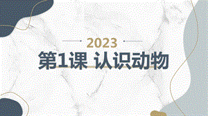 安徽大學(xué)版三下綜合實(shí)踐活動(dòng)第1課 認(rèn)識(shí)動(dòng)物（課件）.pptx