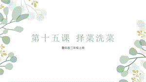 魯科版三上綜合實踐5.3擇菜洗菜課件.pptx