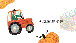 24新教科版一年級上冊科學2.6 觀察與比較 課件.pptx