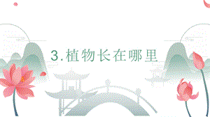24新教科版一年級上冊科學1.3植物長在哪里 課件.pptx