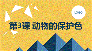 長春版三年級下綜合實踐活動第3課動物的保護色（課件）.pptx