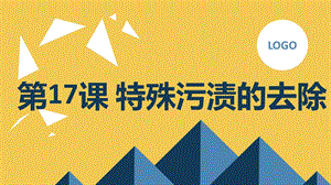 長春版四年級下冊綜合實踐活動第17課特殊污漬的去除（課件）.pptx