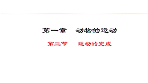 冀少版八年級(jí)上冊(cè)生物4.1.2運(yùn)動(dòng)的完成 課件.pptx