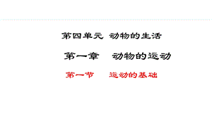 冀少版八年級(jí)上冊(cè)生物4.1.1運(yùn)動(dòng)的基礎(chǔ) 課件.pptx