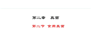 冀少版八年級(jí)上冊(cè)生物5.2.2食用真菌 課件.pptx