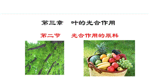 冀少版八年級上冊生物3.3.2光合作用的原料課件.pptx
