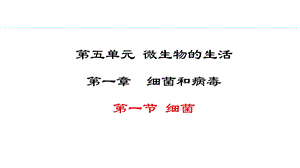冀少版八年級(jí)上冊(cè)生物5.1.1細(xì)菌 課件.pptx