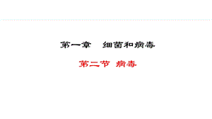 冀少版八年級(jí)上冊(cè)生物5.1.2病毒 課件.pptx