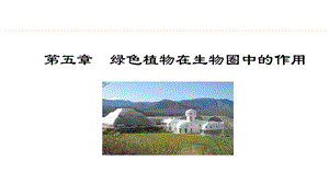 冀少版八年級(jí)上冊(cè)生物3.5綠色植物在生物圈中的作用 課件.pptx