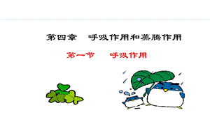 冀少版八年級上冊生物3.4.1呼吸作用課件.pptx