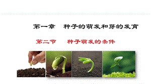 冀少版八年級上冊生物3.1.2種子萌發的條件課件.pptx