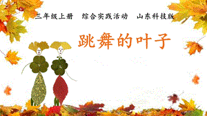 魯科版三年級上綜合實踐 跳舞的葉子-李瑞雪-課件.pptx