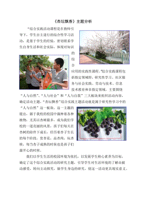 小學綜合實踐活動-杏壇飄香-孫-教材分析.doc