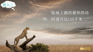 2024-2025部編版語文五年級上冊7什么比獵豹的速度更快（課件）.ppt