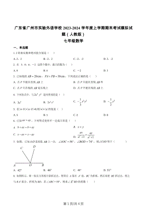 廣東省廣州市實(shí)驗(yàn)外語(yǔ)學(xué)校2023-2024學(xué)年七年級(jí)上學(xué)期期末模擬數(shù)學(xué)試題.docx