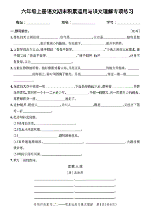 部編版六年級上冊語文期末積累運用與課文理解專項練習.pdf