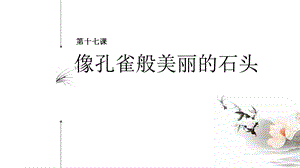 七至九年級美麗陽江課件：第十七課像孔雀般美麗的石頭.pptx