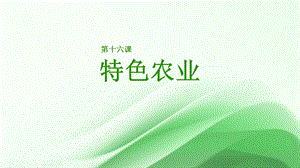 五六年級美麗陽江課件：第十六課特色農(nóng)業(yè).pptx