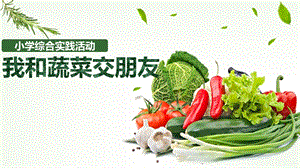 長春版三年級上冊綜合實踐3《我和蔬菜交朋友》課件.pptx