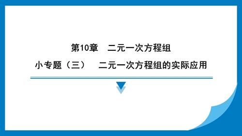 25春蘇科版七年級下冊數學小專題（三）　二元一次方程組的實際應用 習題課件.pptx