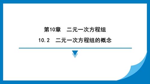 25春蘇科版七年級下冊數學10.2　二元一次方程組的概念 習題課件.pptx
