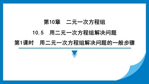 25春蘇科版七年級下冊數學10.5用二元一次方程組解決問題習題課件.pptx