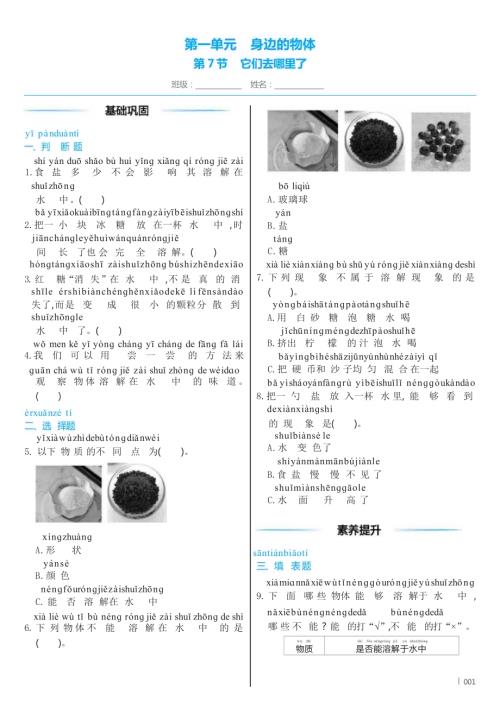 教科版（2024）科學一年級下冊1 .7 它們去哪里了 同步練習（含答案）.docx