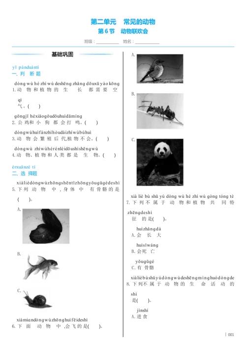 教科版（2024）科學一年級下冊2.6動物聯歡會同步練習（含答案）.docx