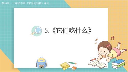 2025教科版一年級(jí)下冊(cè)科學(xué)2.5它們吃什么課件.pptx