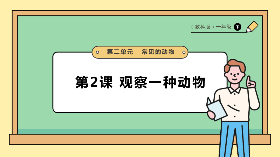 2025教科版一年級下冊科學2.2觀察一種動物PPT課件+課時教案.rar