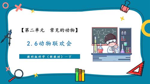 2025新-教科版一年級下冊科學2.6動物聯歡會（教學課件）.pptx