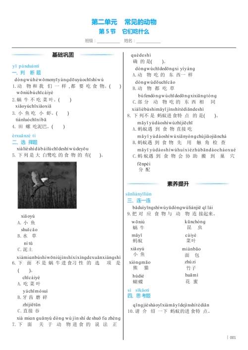 教科版（2024）科學一年級下冊2.5它們吃什么同步練習（含答案）.docx