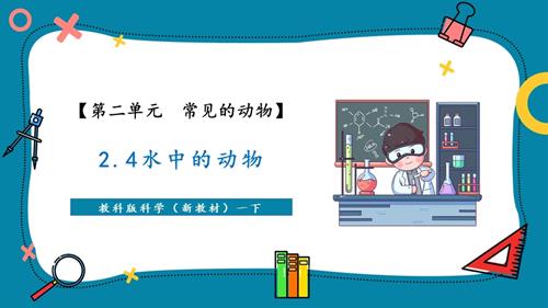 2025新-教科版一年級下冊科學2.4水中的動物（教學課件）.pptx