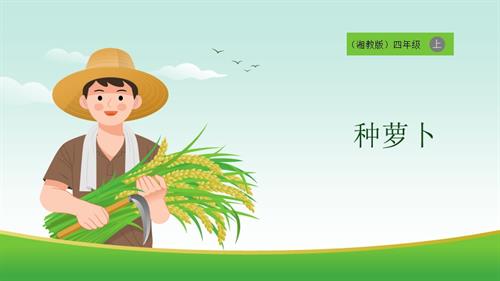 湘教版四年級上勞動實踐指導專題周第1課種蘿卜課件.pptx