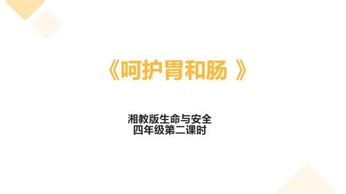 湘教版四年級上冊生命與安全2.呵護胃和腸課件.pptx