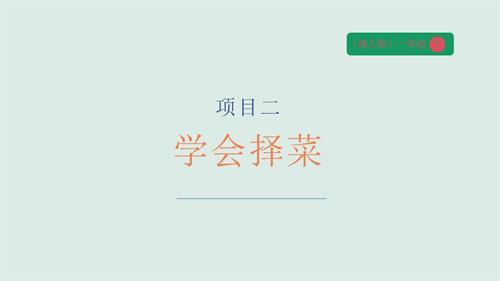 湘人版一年級下冊勞動實踐指導任務三 項目2學會擇菜 課件.pptx