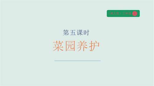 湘人版三年級上冊勞動實踐指導任務二項目3《菜園養護》課件.pptx