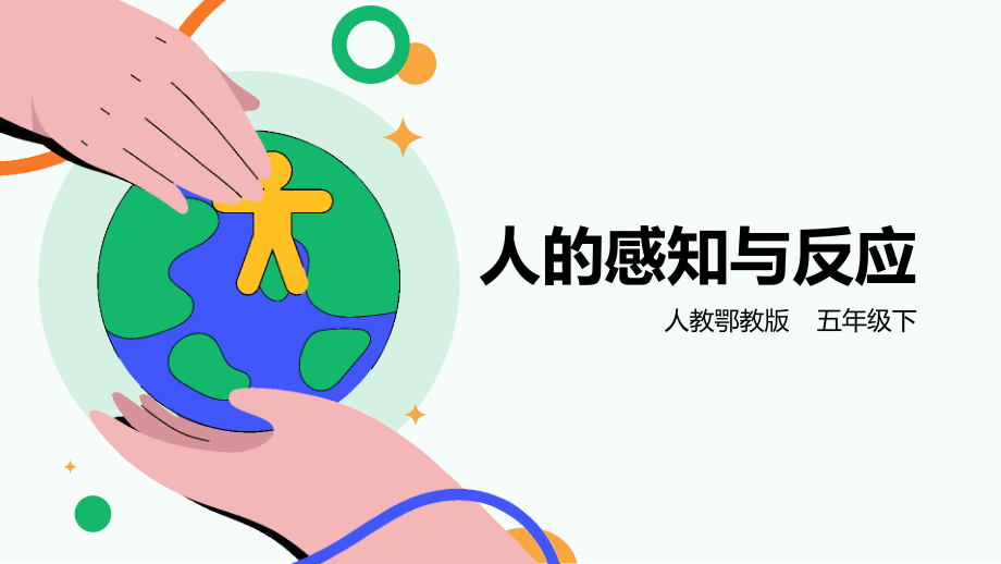 人教鄂教版五年級下冊科學3.8人的感知與反應課件（44張PPT）+素材.rar