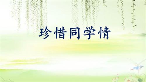 鄂科版六年級心理健康15C 珍惜同學情.ppt 課件.ppt