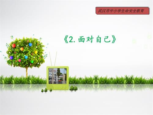 鄂科版六年級心理健康9A面對自己課件.pptx
