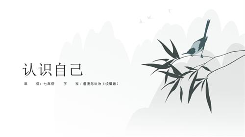 部編版七年級上冊道德與法治2.1《認識自己》課件.pptx